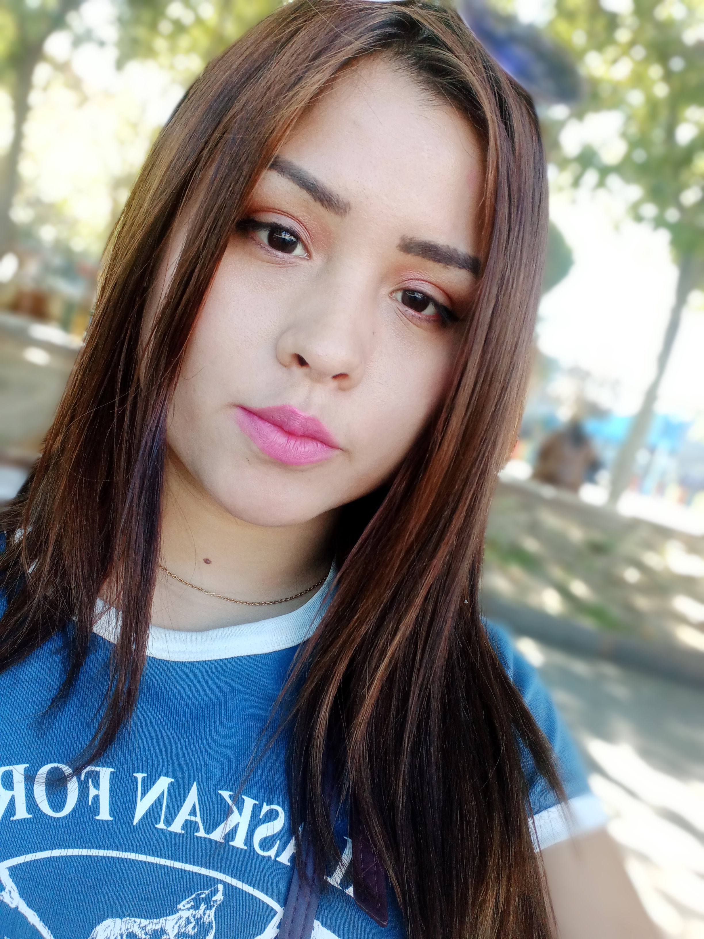 Profile