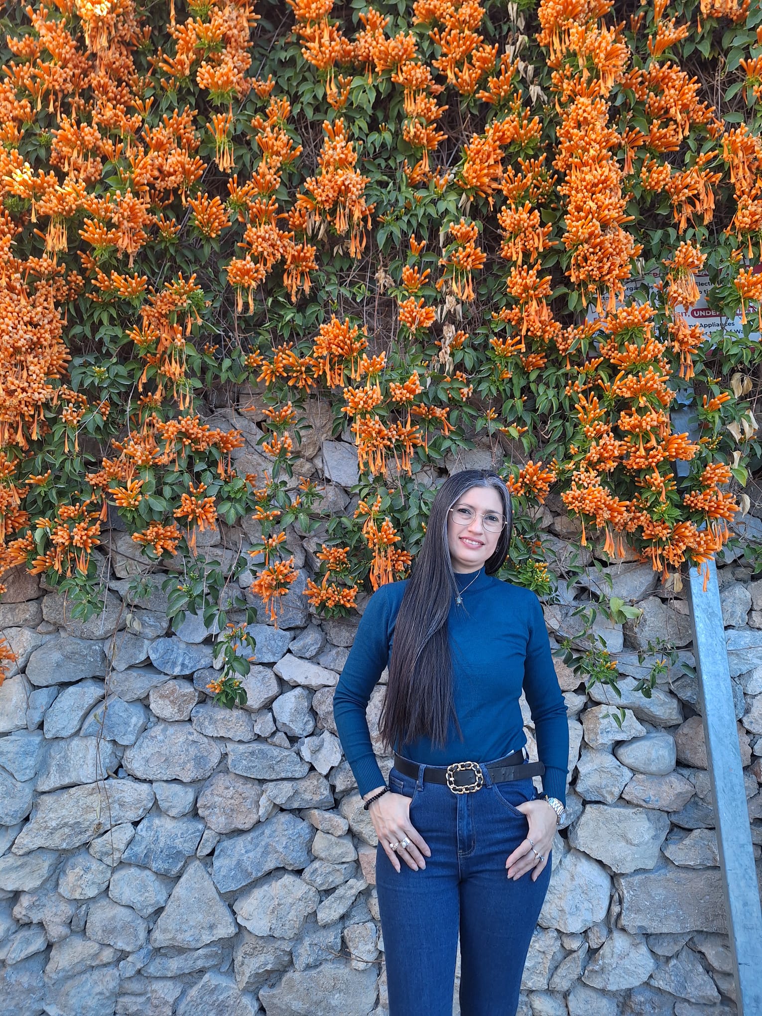 Profile