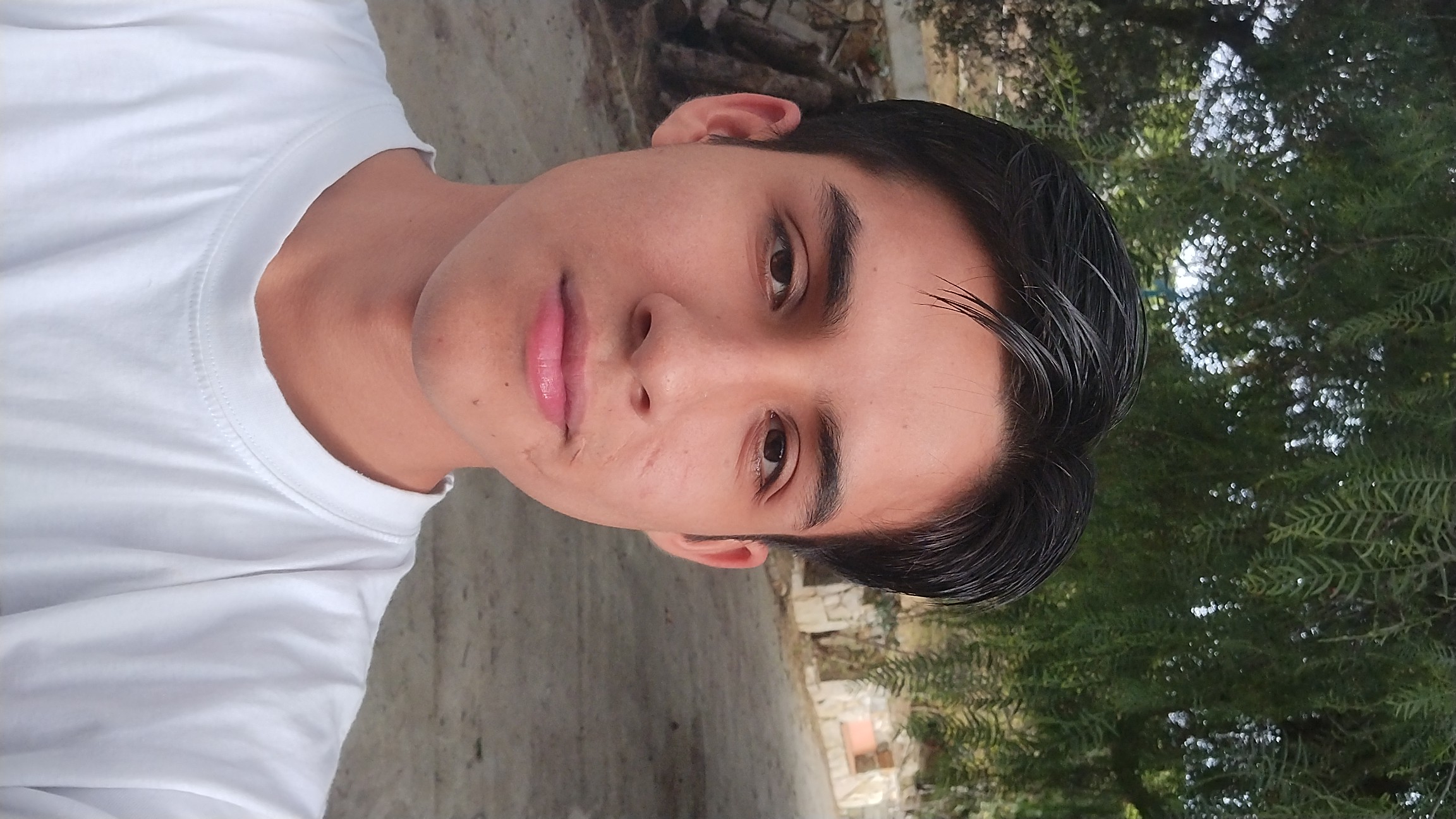 Profile