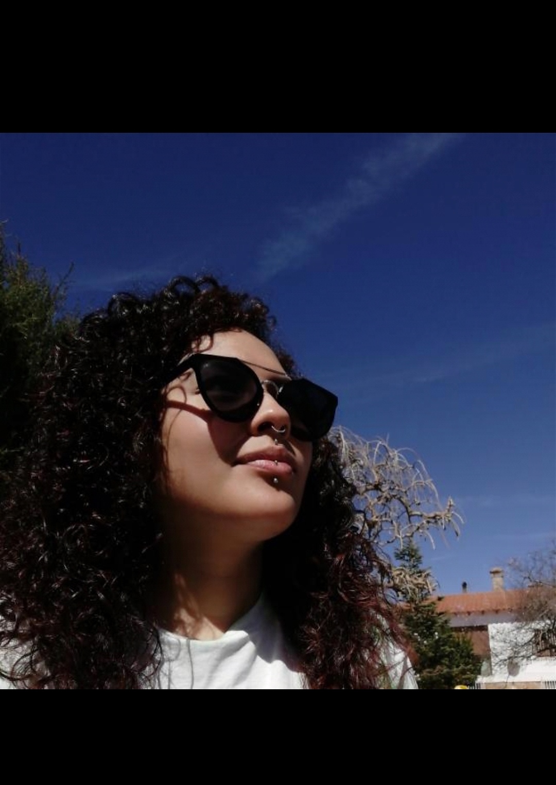 Profile
